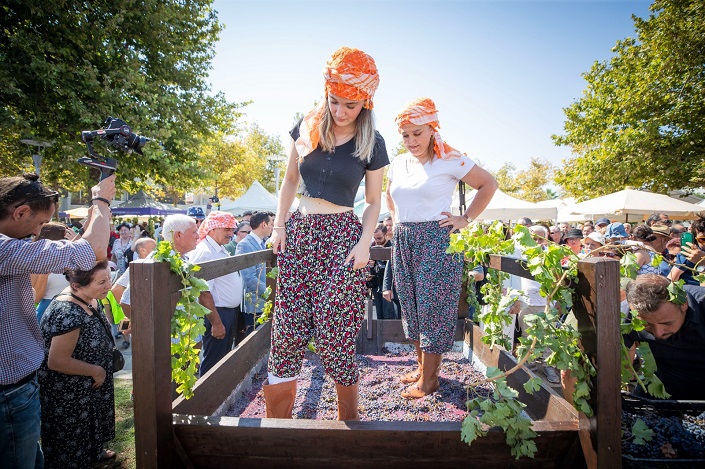 Urla’da Bağ Bozumu Coşkusu 
