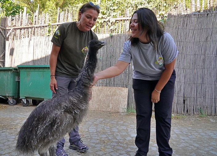 Mart'ta Emu, Şimdi de Kakadu! 